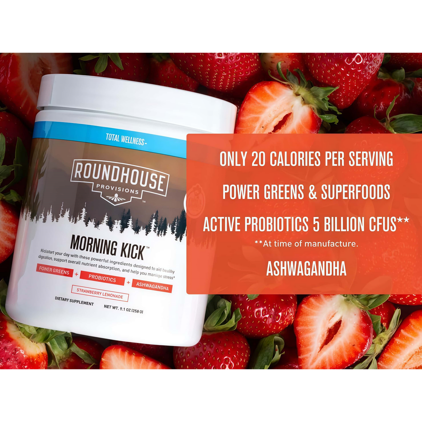 ROUNDHOUSE PROVISION Morning Kick, ZeroSugar Greens Superfood Powder Supplementwith Ashwagandha, Collagen, Probiotics,Debloat Drink, 30 Servings (StrawberryLemonade) by Chuck Norris